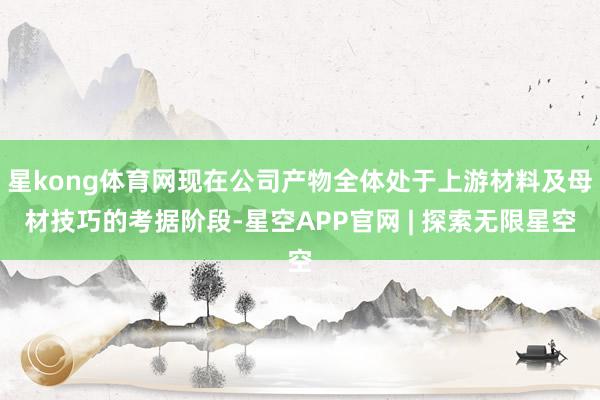 星kong体育网现在公司产物全体处于上游材料及母材技巧的考据阶段-星空APP官网 | 探索无限星空