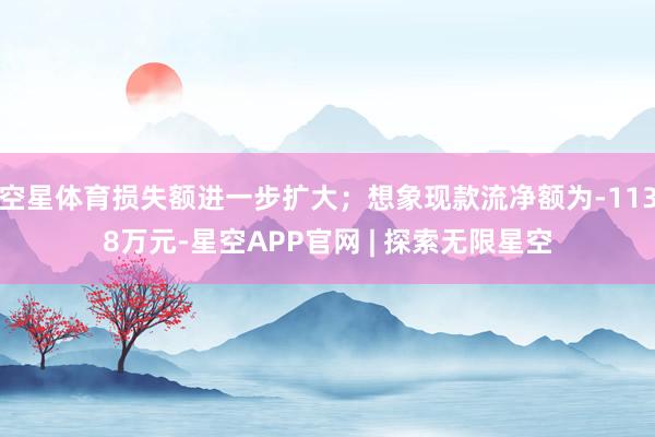 空星体育损失额进一步扩大；想象现款流净额为-1138万元-星空APP官网 | 探索无限星空