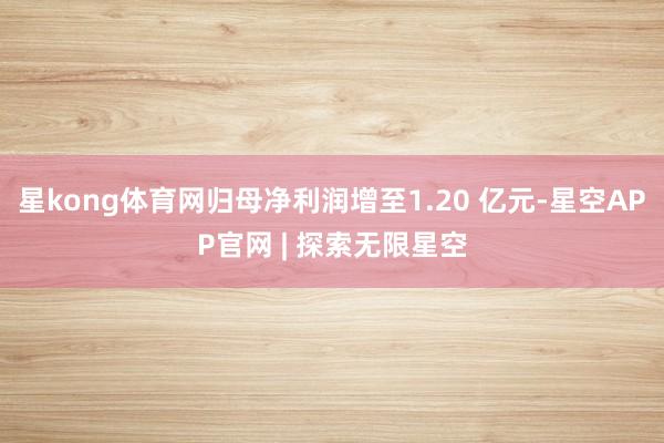 星kong体育网归母净利润增至1.20 亿元-星空APP官网 | 探索无限星空