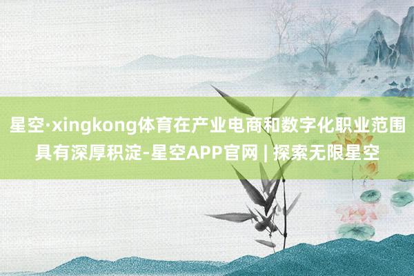 星空·xingkong体育在产业电商和数字化职业范围具有深厚积淀-星空APP官网 | 探索无限星空